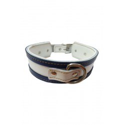 COLLAR GALGO BLANCO BORDE AZUL 40X4CM