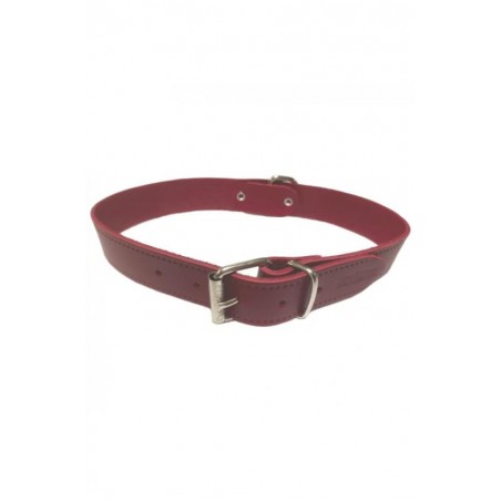 COLLAR CUERO LISO 20X450MM.ROJO S.D