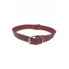 COLLAR CUERO LISO 20X450MM.ROJO S.D