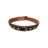 COLLAR CUERO DOBLE 30X650 NATURAL/NEGRO