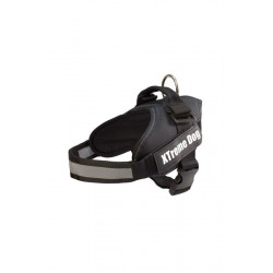 ARNES XTREME DOG NEGRO S...