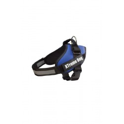 ARNES XTREME DOG AZUL S...