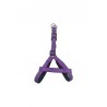 ARNES NYLON LISO MORADO 1.5 x 40-50 cm.