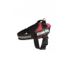 ARNES XTREME DOG ROJO XS (44-57cm)