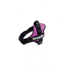 ARNES XTREME DOG ROSA XS...