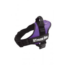 ARNES XTREME DOG LILA S...