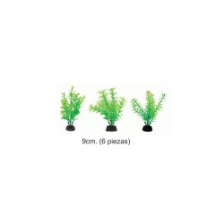 PLANTA AQUA GREEN 9cm. 6...