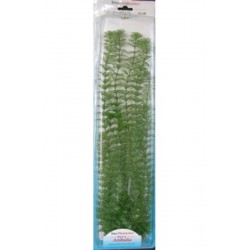 PLANTA AMBULIA PLUS (28-33CM)