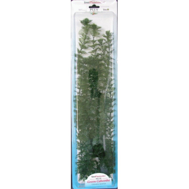 PLANTA CABOMBA PLUS (28-33CM) L