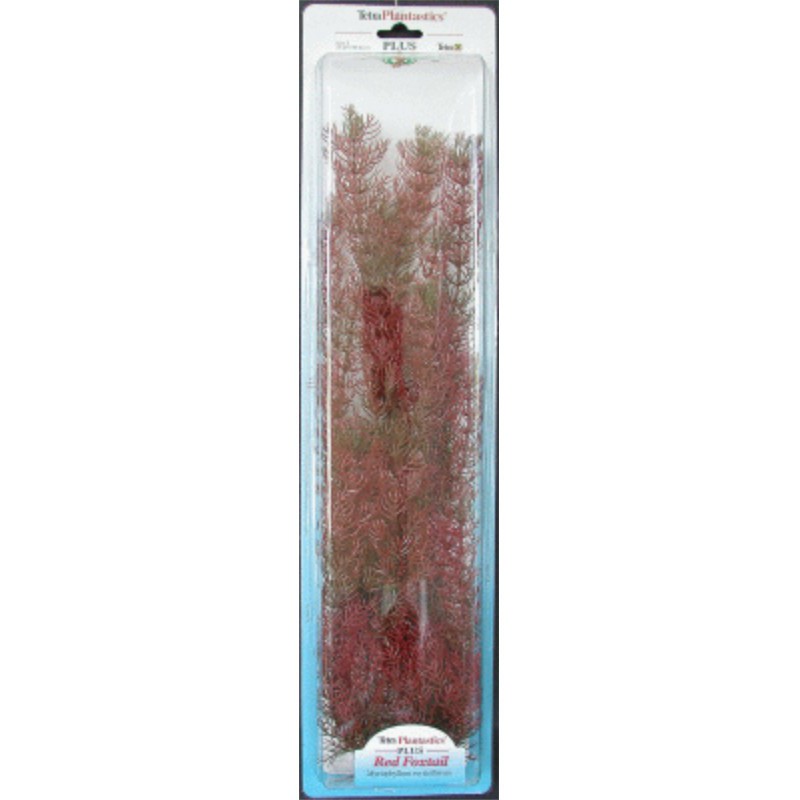 PLANTA FOXTAIL PLUS (46CM)