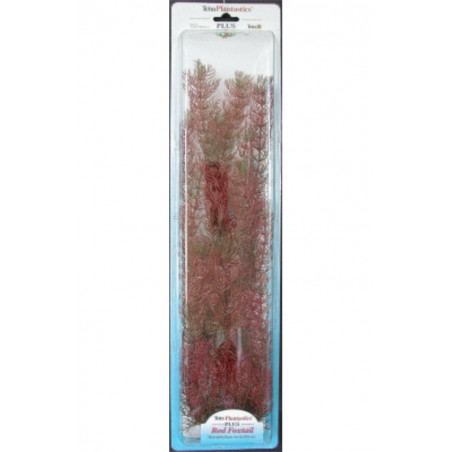 PLANTA FOXTAIL PLUS (46CM)