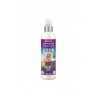 MENFORSAN SPRAY ANTI INSECTOS 250 ML.GATOS