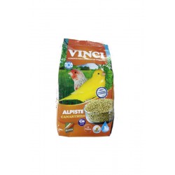 ALPISTE VINCI 1 KG.