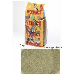 LECHUGA BLANCA PRODAC 3 KG.