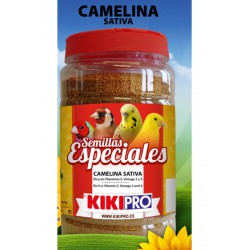 KIKI CAMELINA SATIVA BOTE...