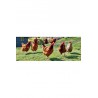 GALLINAS PONEDORAS GRANULO 25 KG