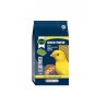 PASTA GOLD PATEE AMARILLA 1 KG ORLUX