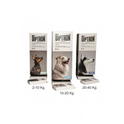 PIPETA DIPTRON Perro 2-10 kg. 1 Ud.