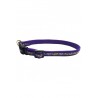 COLLAR BULLY 20x350-500mm. MORADO