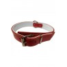 COLLAR PIEL CONFORT ROJO 30 x 370-470 mm